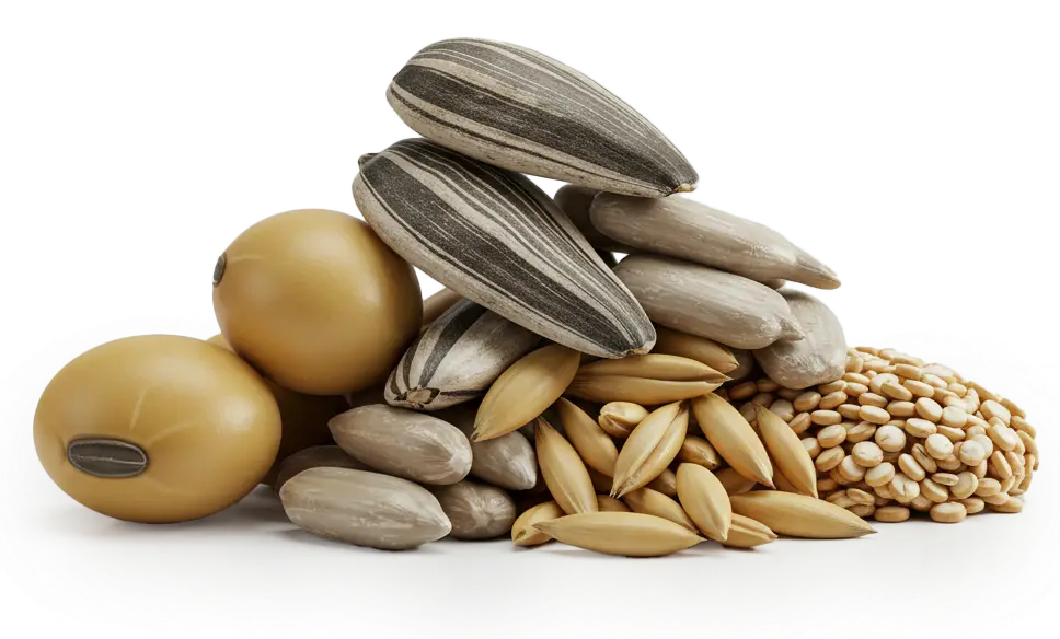 Phosphatidyl Choline